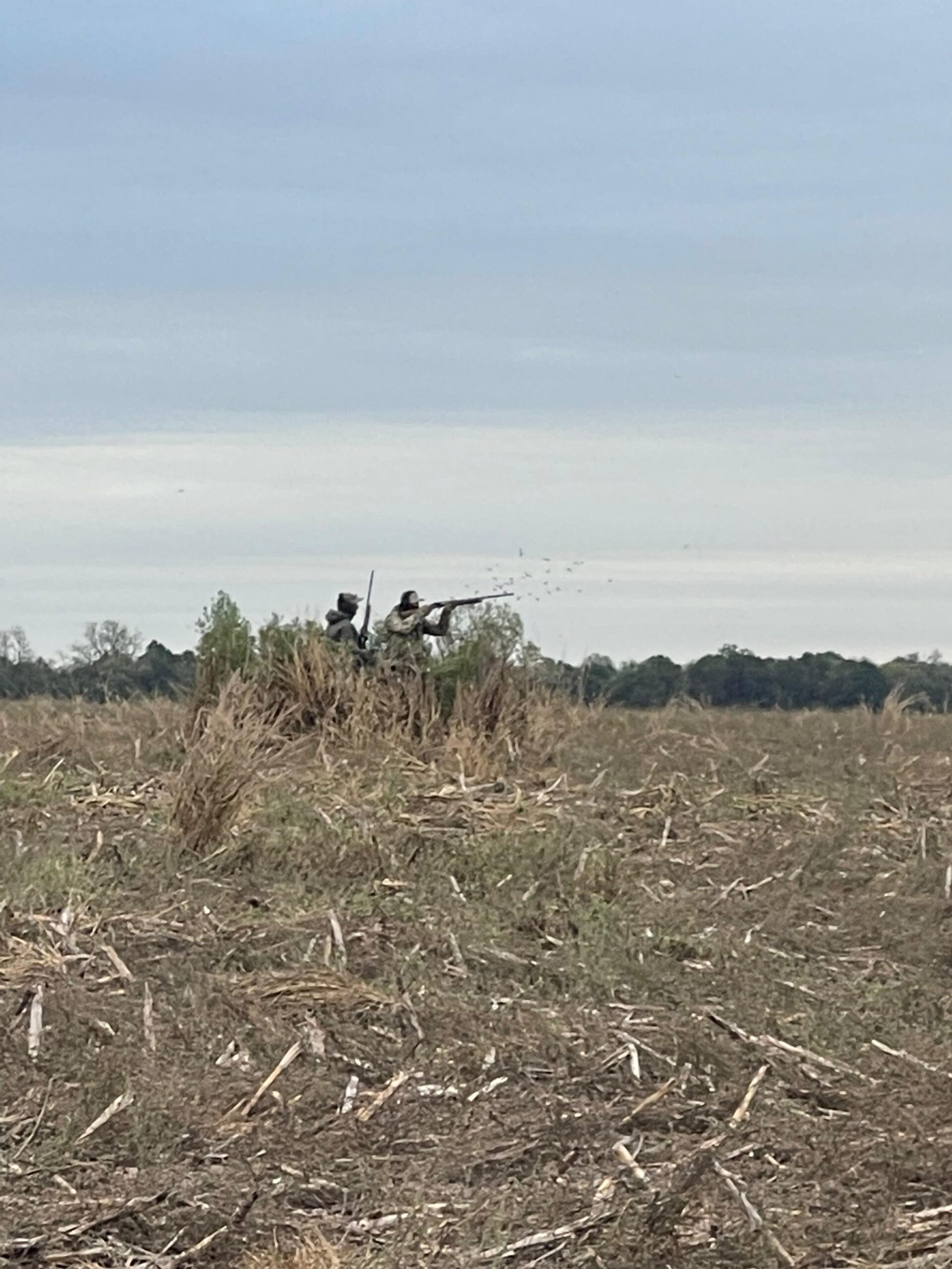 Cacciatori all appostamento durante il passo delle tortore in Argentina