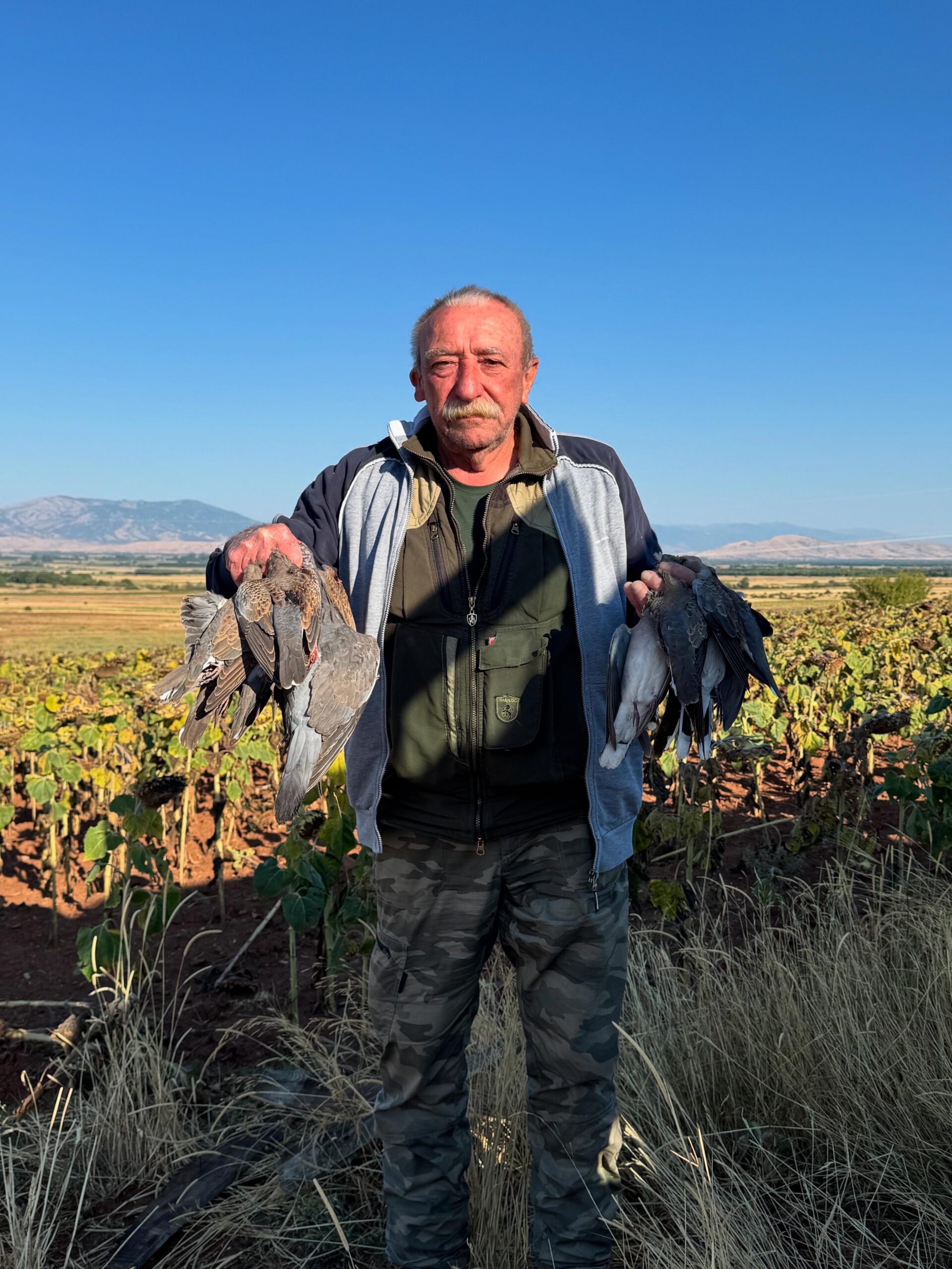 Cacciatore nei campi di girasole durante la caccia alle tortore in Macedonia