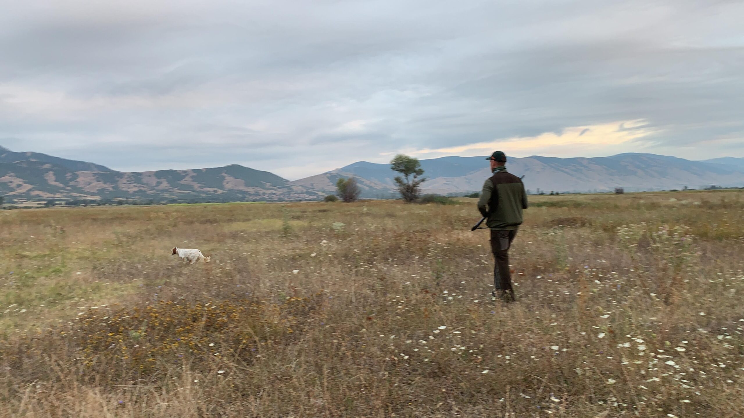 Cacciatore con cane da ferma nei campi della Macedonia