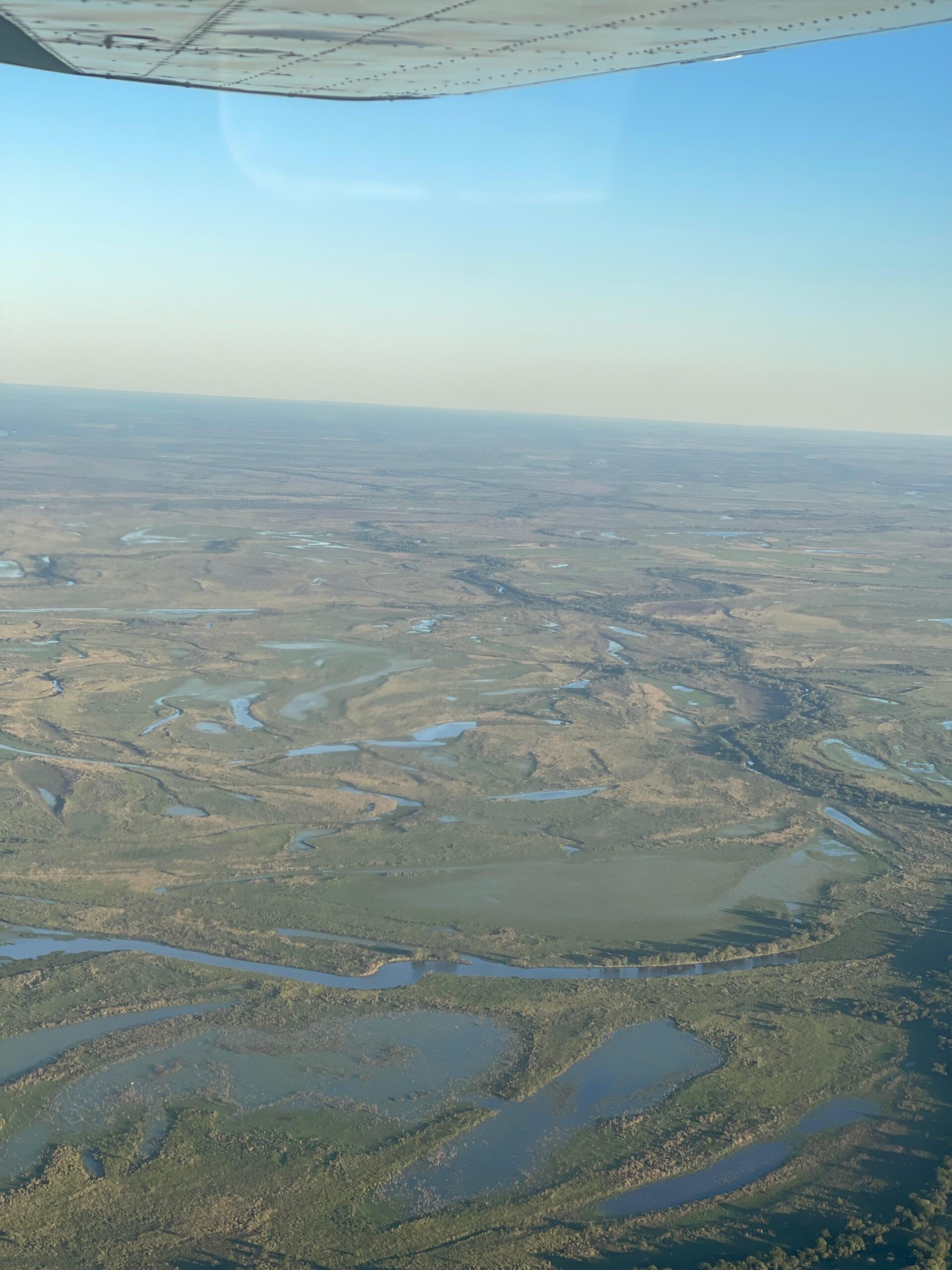 Veduta aerea delle zone umide del Parana in Argentina